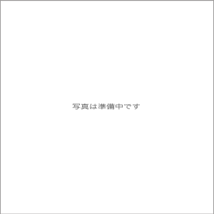 英会話レッスンCD06