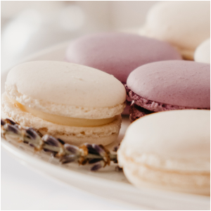 サンプルCD（mobile）